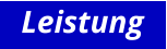 Leistung